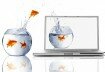 Malware-Verbreitung durch Namensmissbrauch von Prominenten Malware-Verbreitung durch Namensmissbrauch von Prominenten